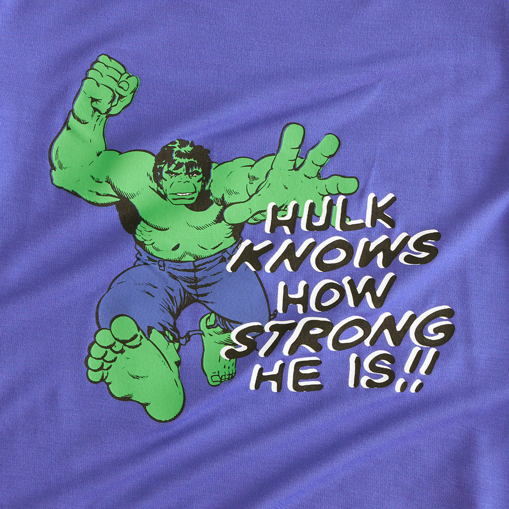 Marvel Hulk Men's Classic Graphic Tee