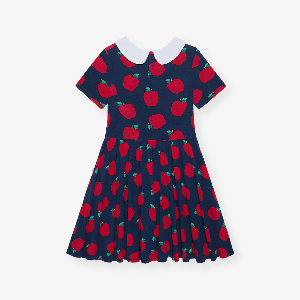 Lilian Collared Twirl Dress